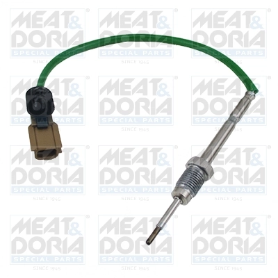 Sensor, exhaust gas temperature